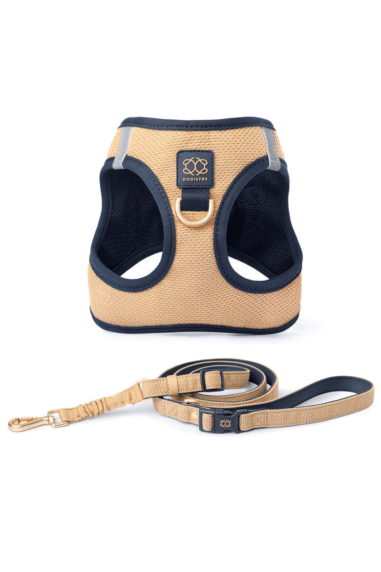 City Leash Set, Main, color, Hamptons