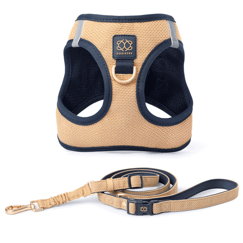 City Leash Set