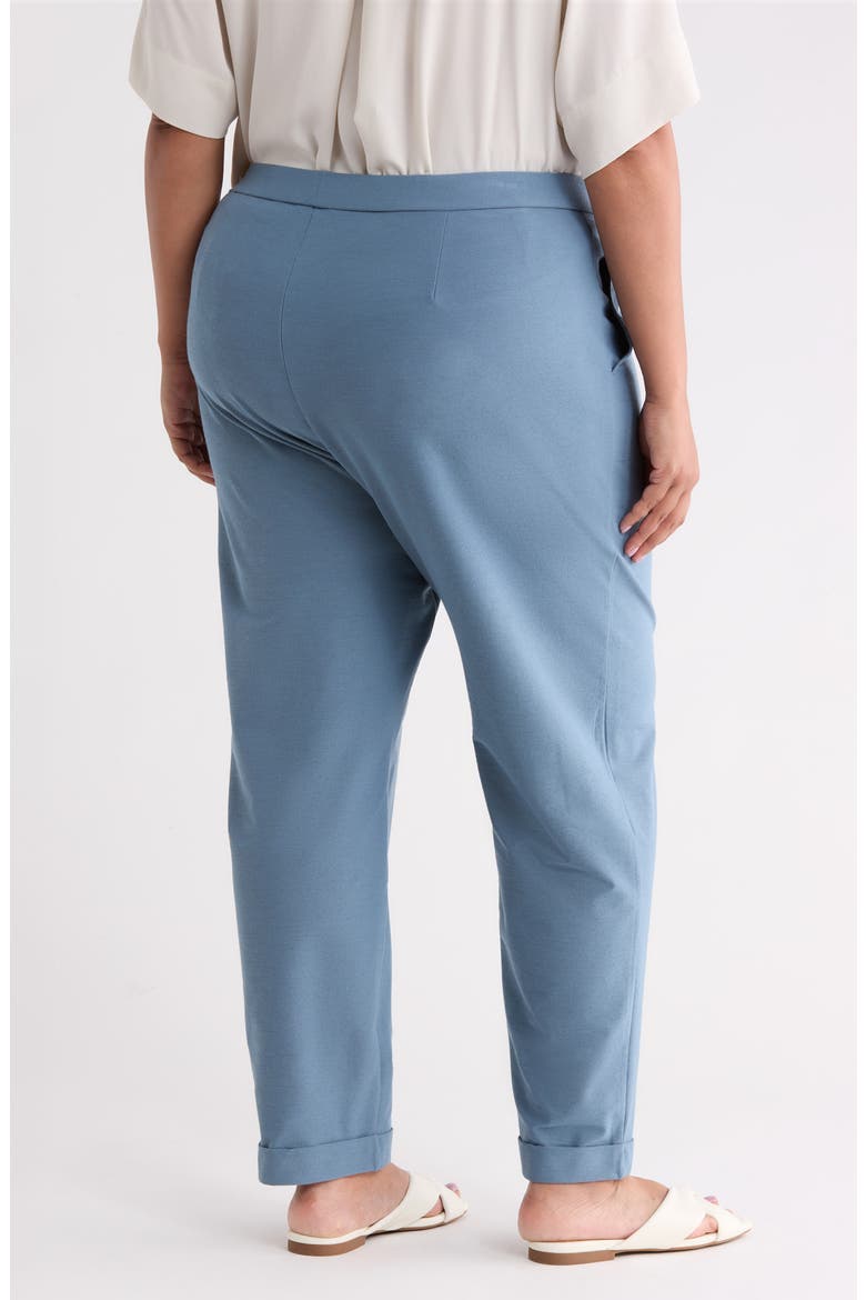 Cuffed Tapered Ankle Pants, Alternate, color, COLD SPRING