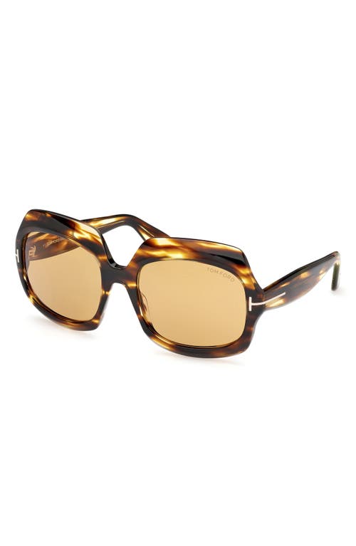 Tom Ford Ren 60mm Geometric Sunglasses In Brown