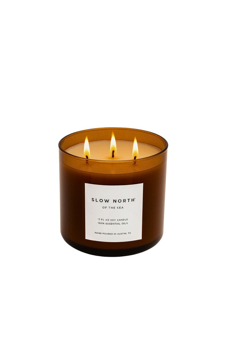 Of The Sea (Eucalyptus + Lavender + Peppermint) - Signature 3-Wick Candle, Main, color, Brown
