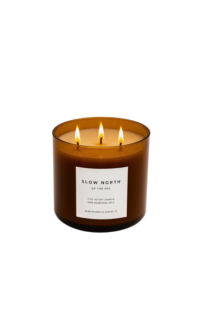 SLOW NORTH Of The Sea (Eucalyptus + Lavender + Peppermint) - Signature 3-Wick Candle, Main, color, Brown