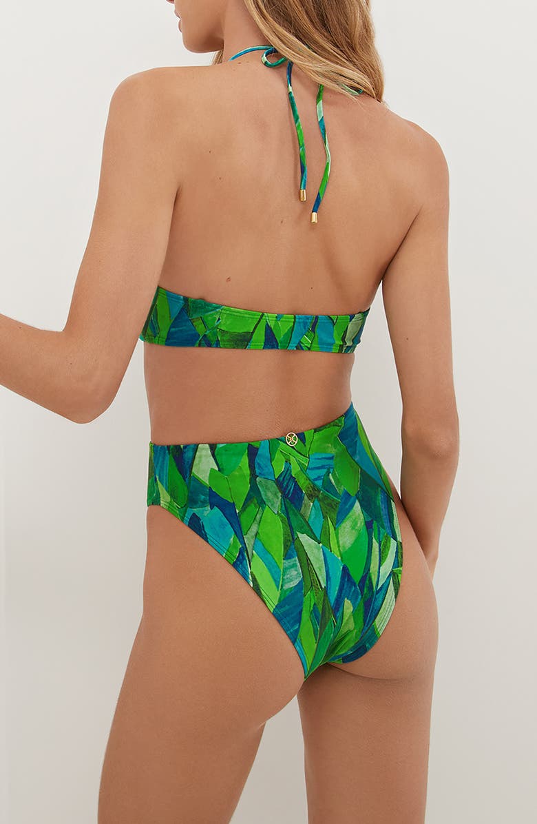 ViX Paula Hermanny Tropics Fay Bikini Top, Alternate, color,