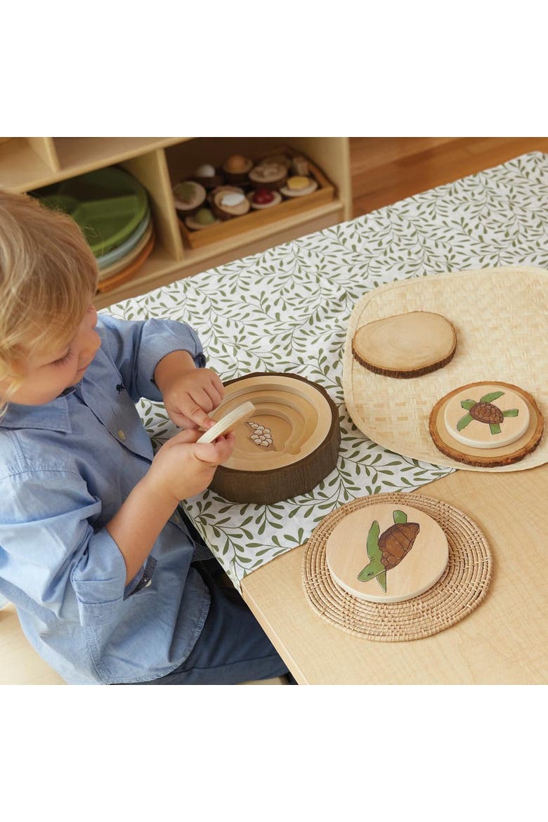 Lifecycle Puzzles - Set of 3, Alternate, color, Multicolored