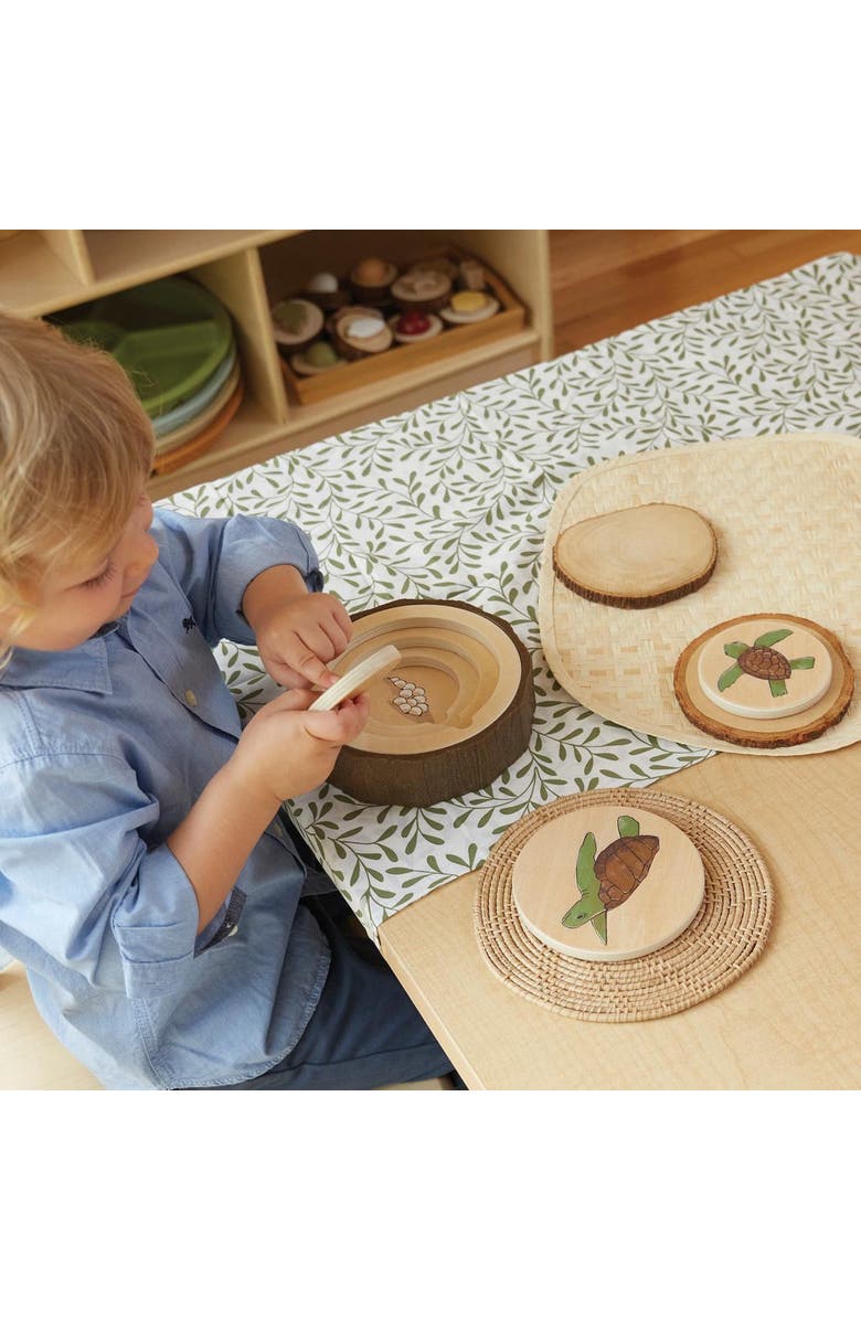 Kaplan Early Learning Company Lifecycle Puzzles - Set of 3, Alternate, color, Multicolored