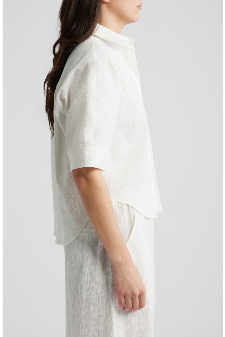 Texture Dolman Shirt, Alternate, color, GARDENIA