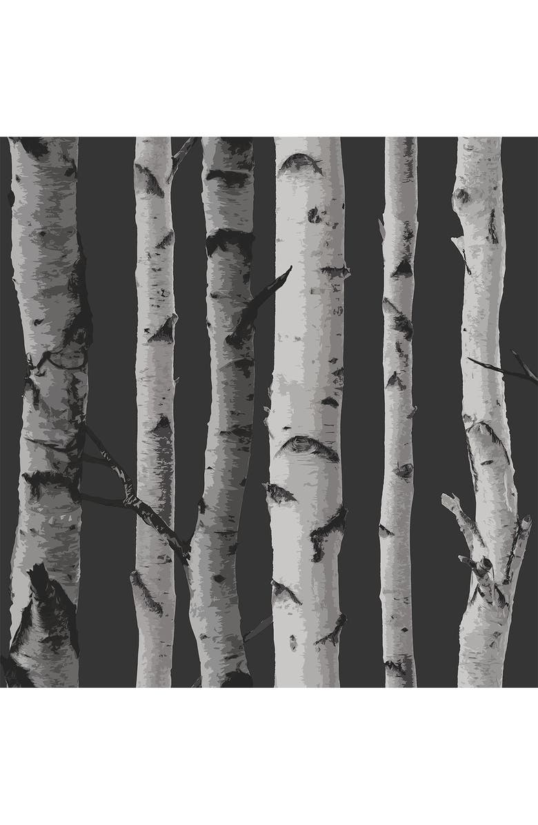 Wallpops Distinctive Black Birch Tree Wallpaper, Main, color,