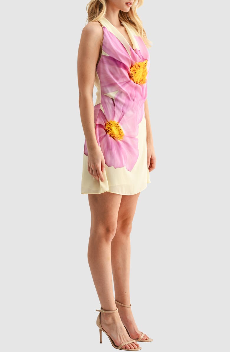 All in Favor Floral Halter Minidress, Alternate, color, Butter Orchid