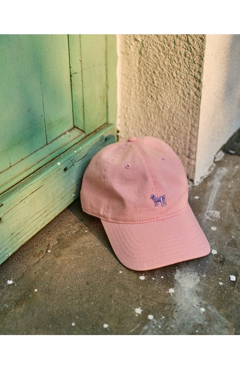 Lost Pattern "Pan Pan" Baseball Cap, Alternate, color, Light Pink