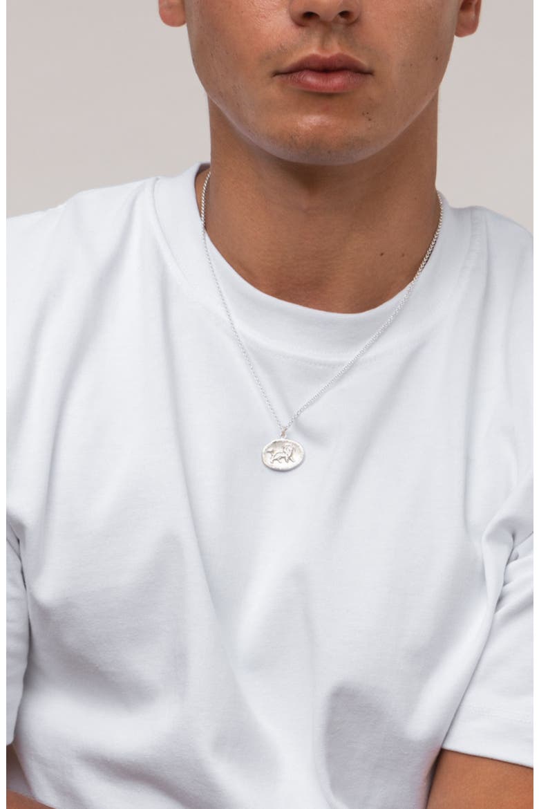 Men's Inspiring Lion Talisman Necklace, Alternate, color, Sterling Silver