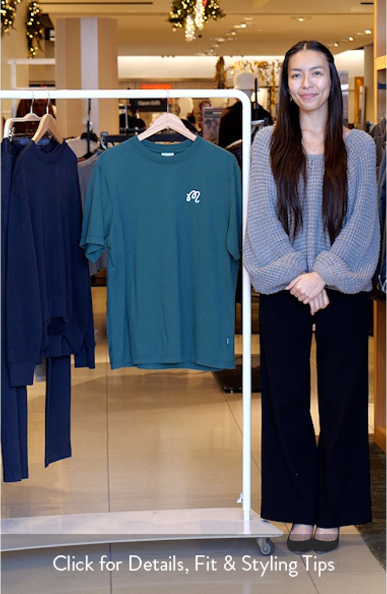 Bermuda Brumal Buckets Embroidered Graphic T-Shirt, sales video thumbnail