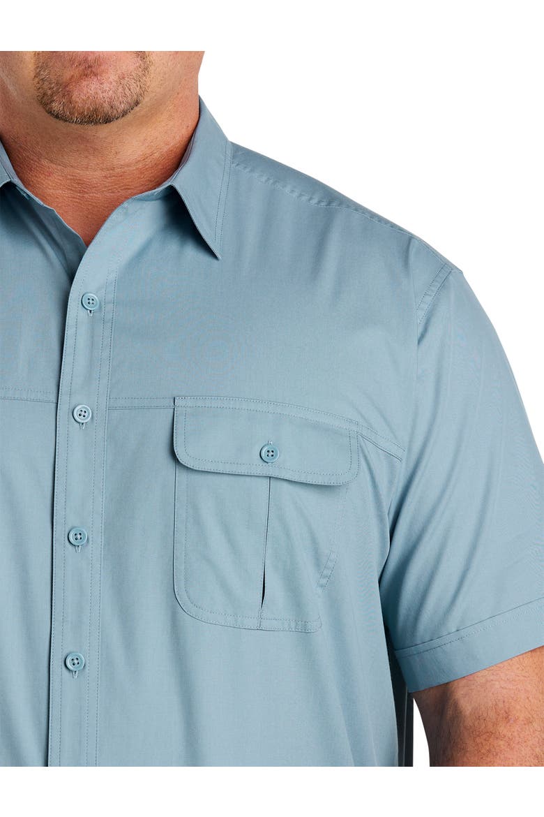 Big & Tall Co-Pilot Sport Shirt, Alternate, color, FORGET ME NOT