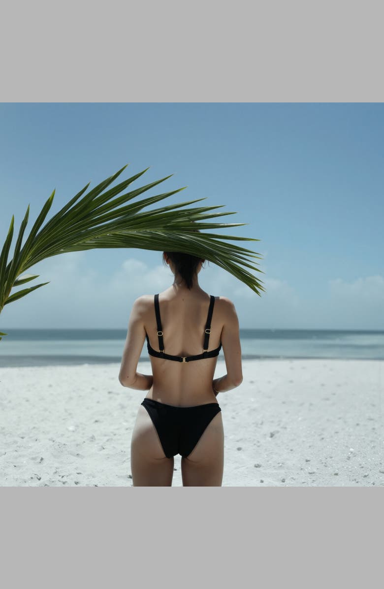 Blvck Eclipse Bikini, Alternate, color, Black