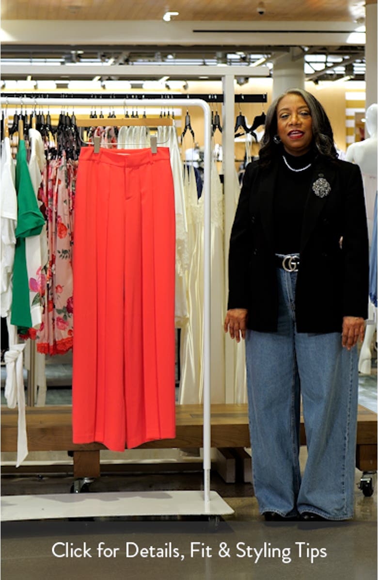 Blaire Pleated High Waist Wide Leg Pants, sales video thumbnail