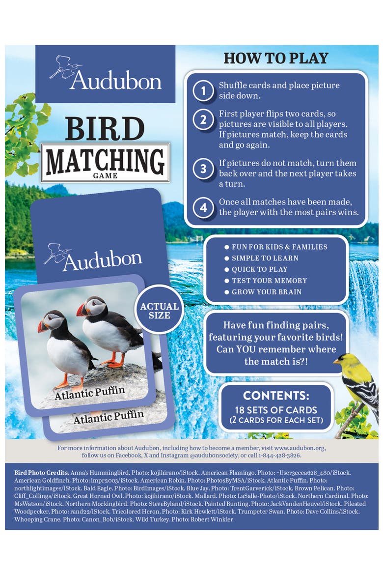 Audubon - Bird Matching Game, Alternate, color, Multicolor