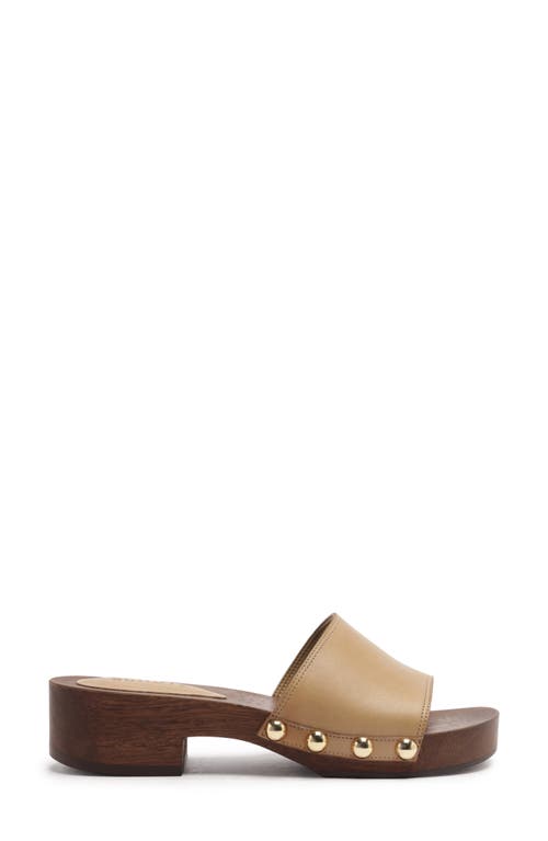 Schutz Shayla Slide Sandal In Purple