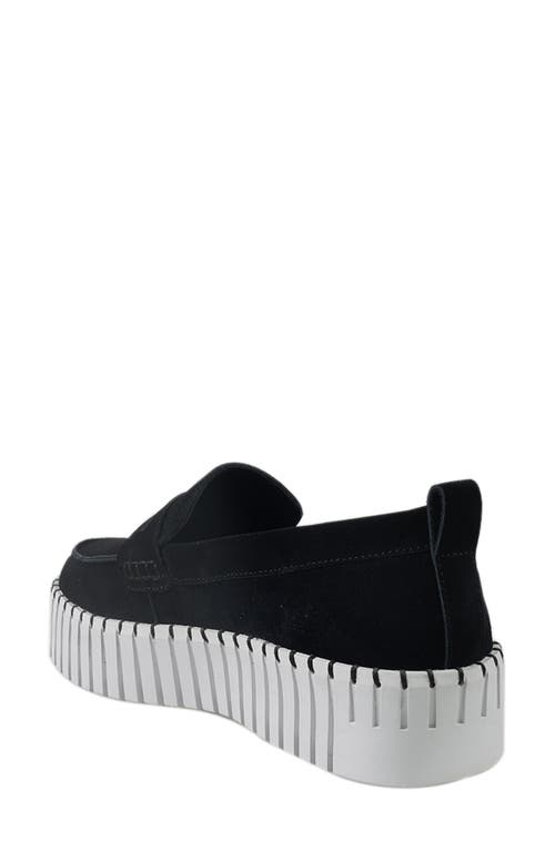 National Comfort Makota Suede Loafer In Black Suede