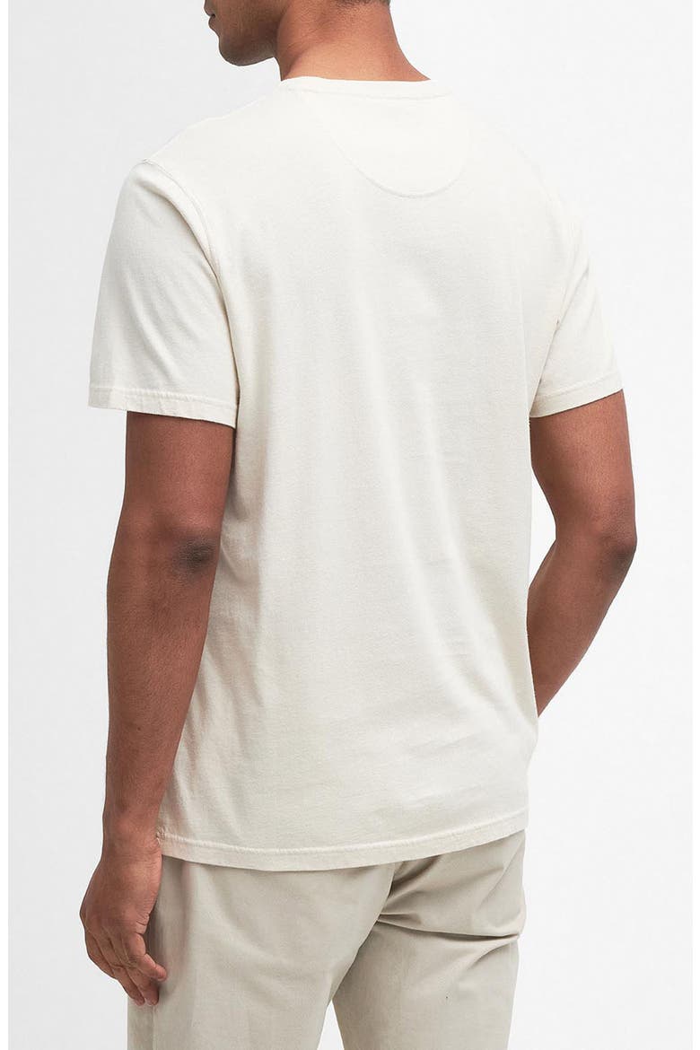 Braeside Stripe T-Shirt, Alternate, color, RAINY DAY