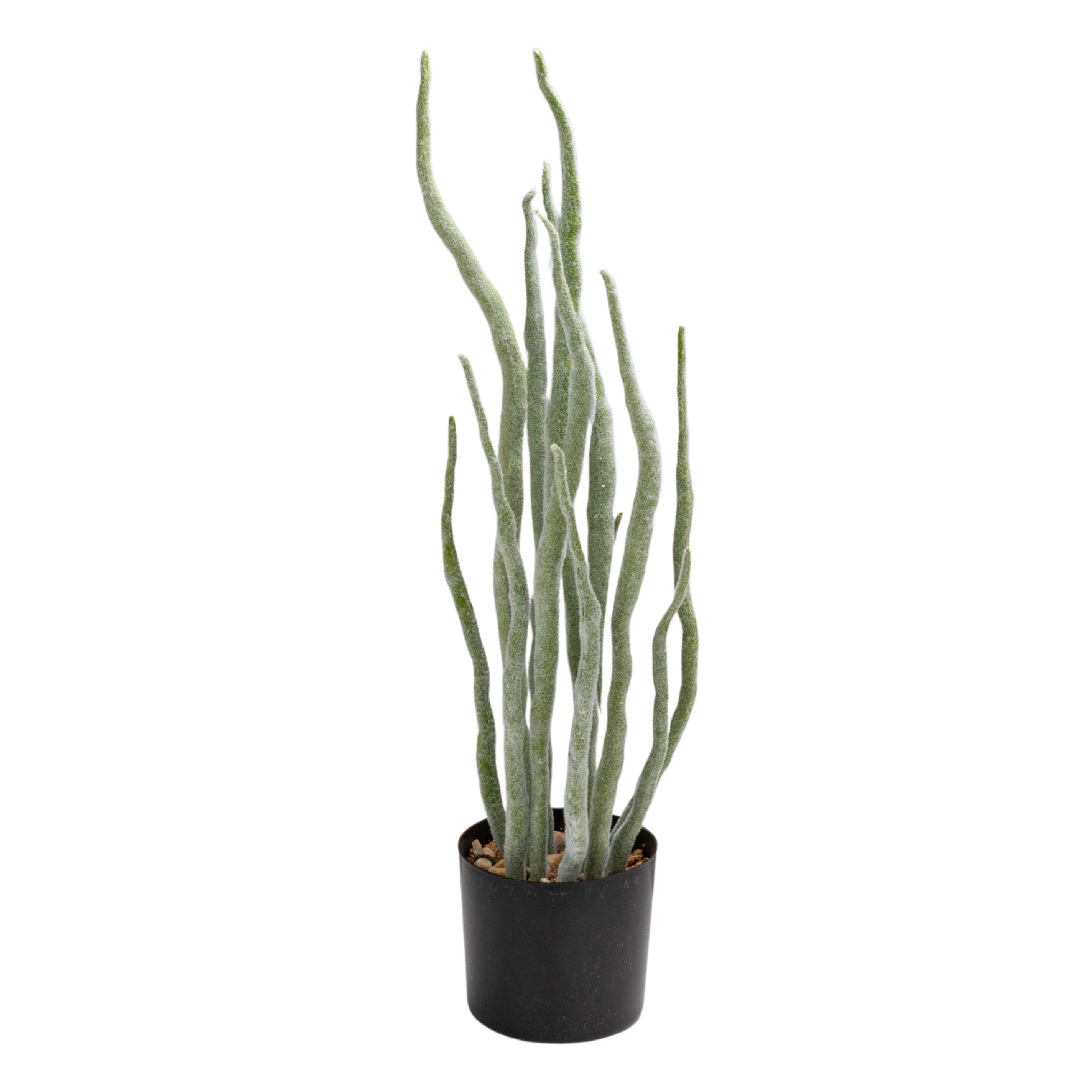 selected Green