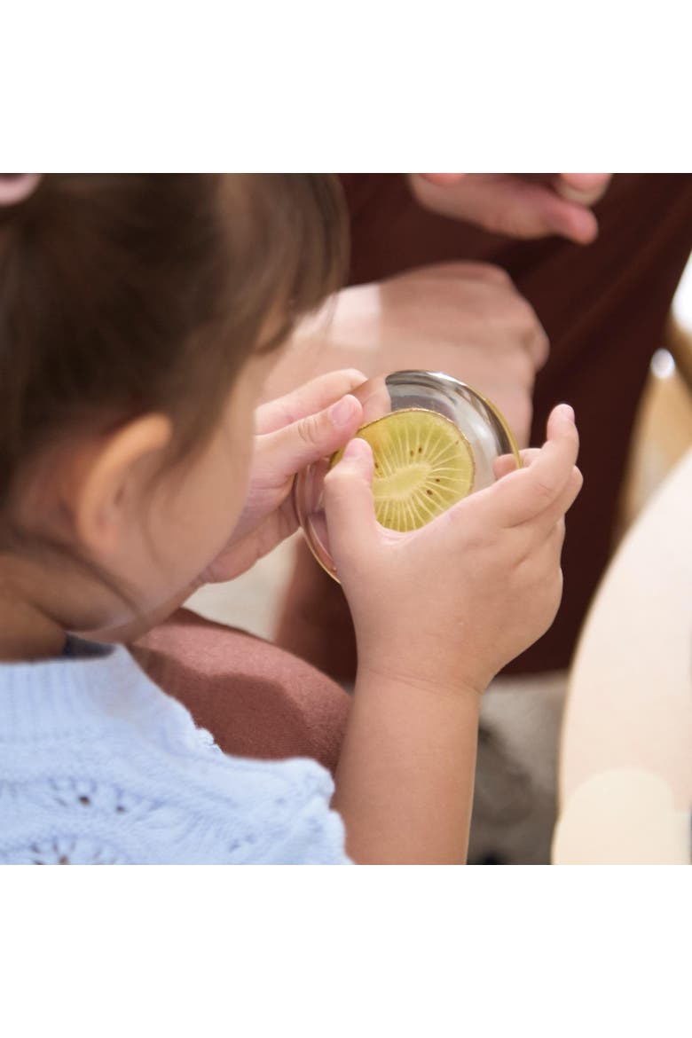 Acrylic Nature's Cross Sections, Alternate, color, Multicolored
