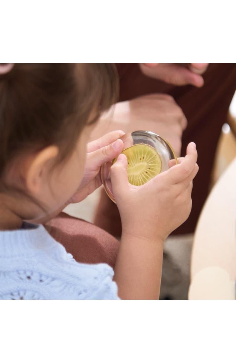 Kaplan Early Learning Company Acrylic Nature's Cross Sections, Alternate, color, Multicolored