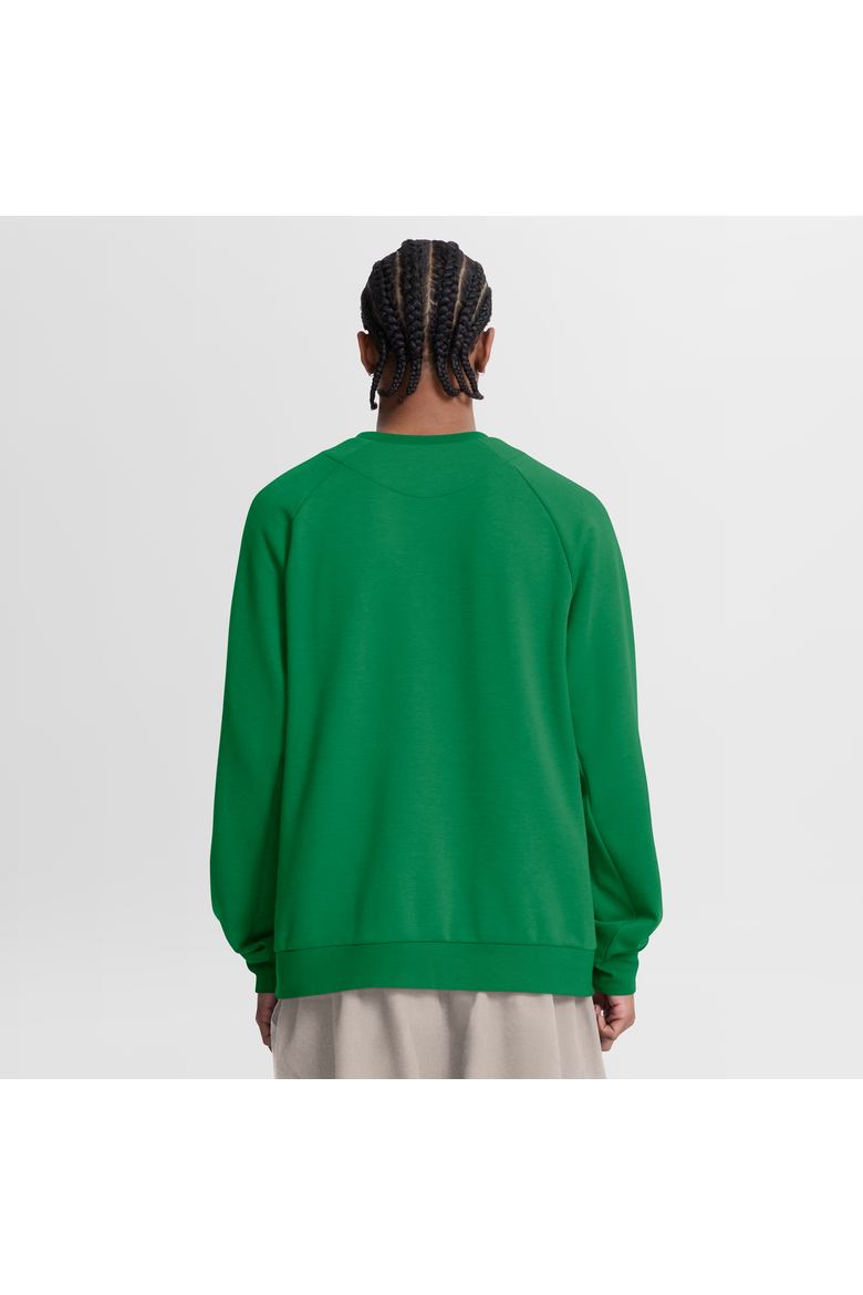 Men's Nike Green Oregon Ducks Premium Performance Raglan Dri-FIT Sweatshirt, Alternate, color, Green
