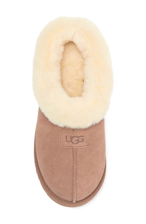 Ugg(r) Tazzette Genuine Shearling Collar Slipper