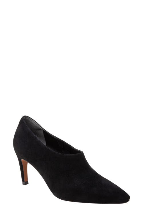 Linea Paolo Simone Bootie In Black