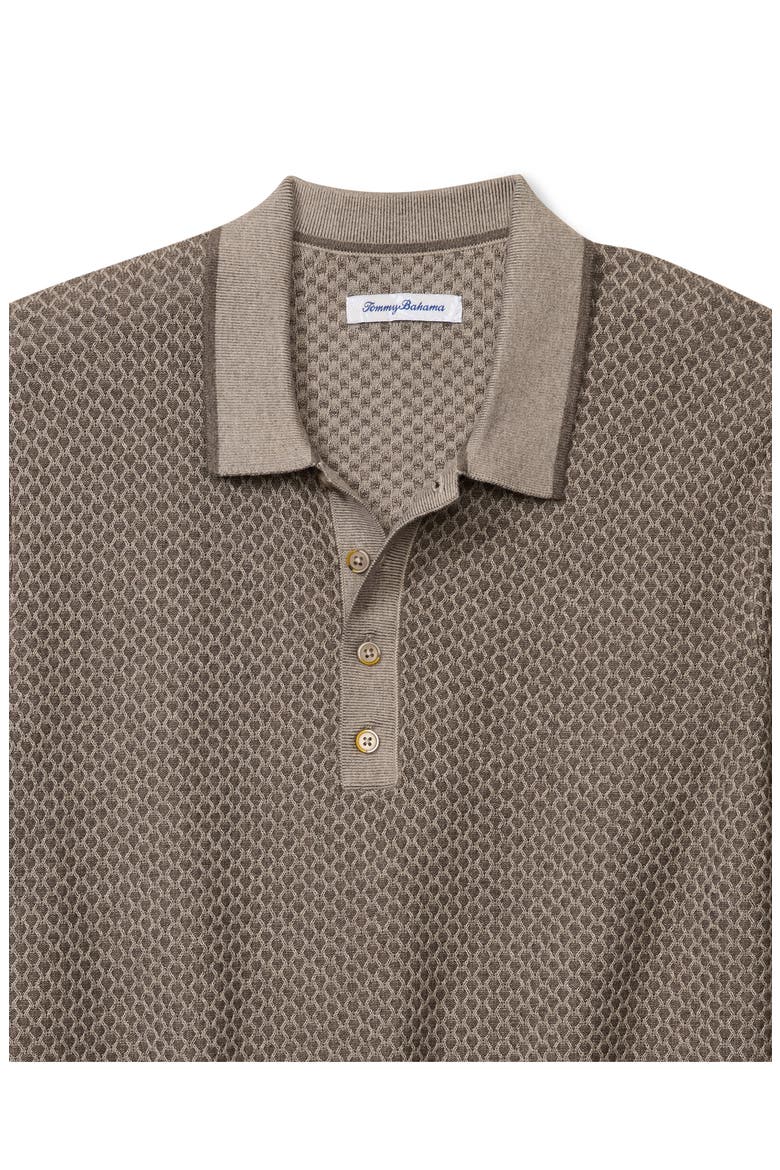 Coolside Valley Long Sleeve Polo Sweater, Alternate, color, CLOVE