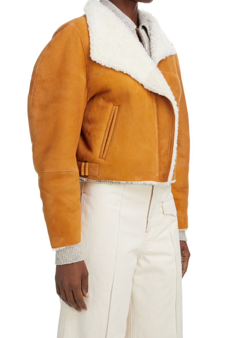 Acacina Crop Genuine Shearling Lined Suede Jacket, Alternate, color, CAMEL