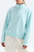 The North Face Evolution Simple Dome Cotton Blend Quarter Zip Sweatshirt