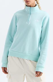 The North Face Evolution Simple Dome Cotton Blend Quarter Zip Sweatshirt
