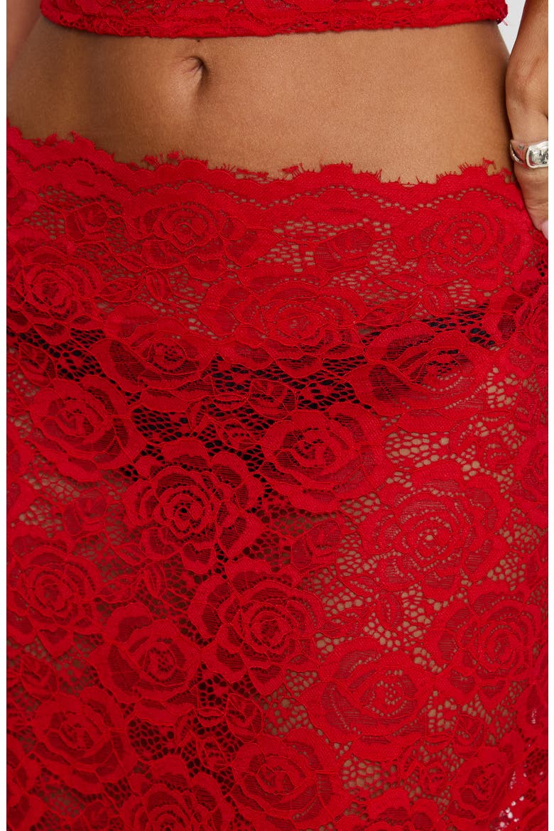 Vionna Sheer Floral Lace Maxi Skirt, Alternate, color, RED