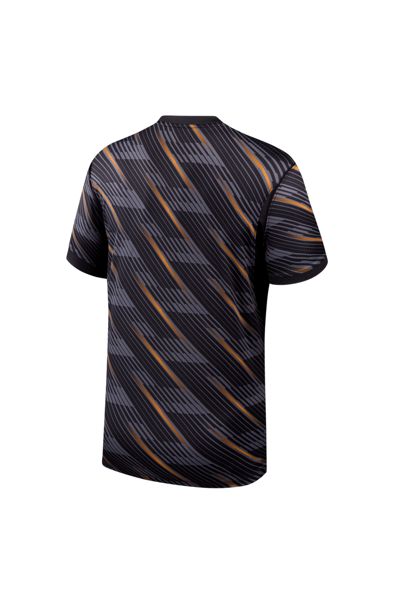 Nike Men's Nike  Gray France National Team 2026 Goalkeeper Stadium Replica Jersey, Alternate, color, Gray