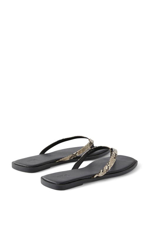 Rubi Shoes Byron Slide In Reptile