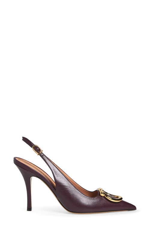 Ferragamo Sara Pointed Toe Slingback Pump In Burgundy