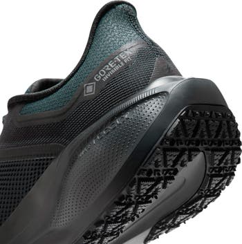 Air Zoom Pegasus 41 Gore-Tex<sup>®</sup> Waterproof Running Shoe
