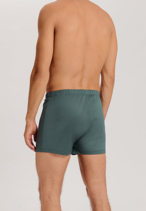 Hanro Cotton Sporty Button Fly Cotton Boxer In Herbal Tea