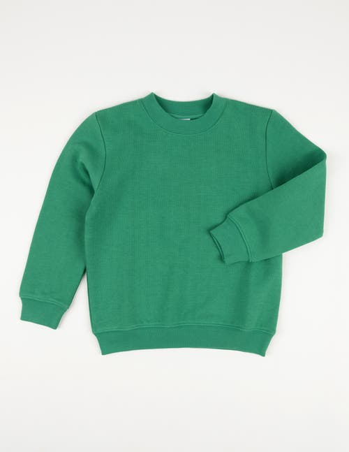 Leveret Kids Pullover Sweatshirt, Long Sleeve, Solid Colors In Animal Print