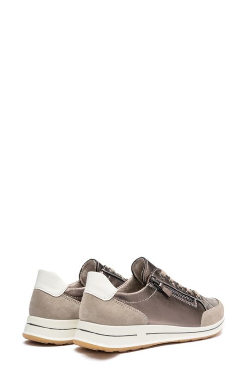 Ara Oleanna Zip Sneaker In Multi
