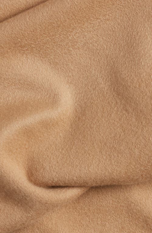 Nordstrom Cashmere Scarf In Brown