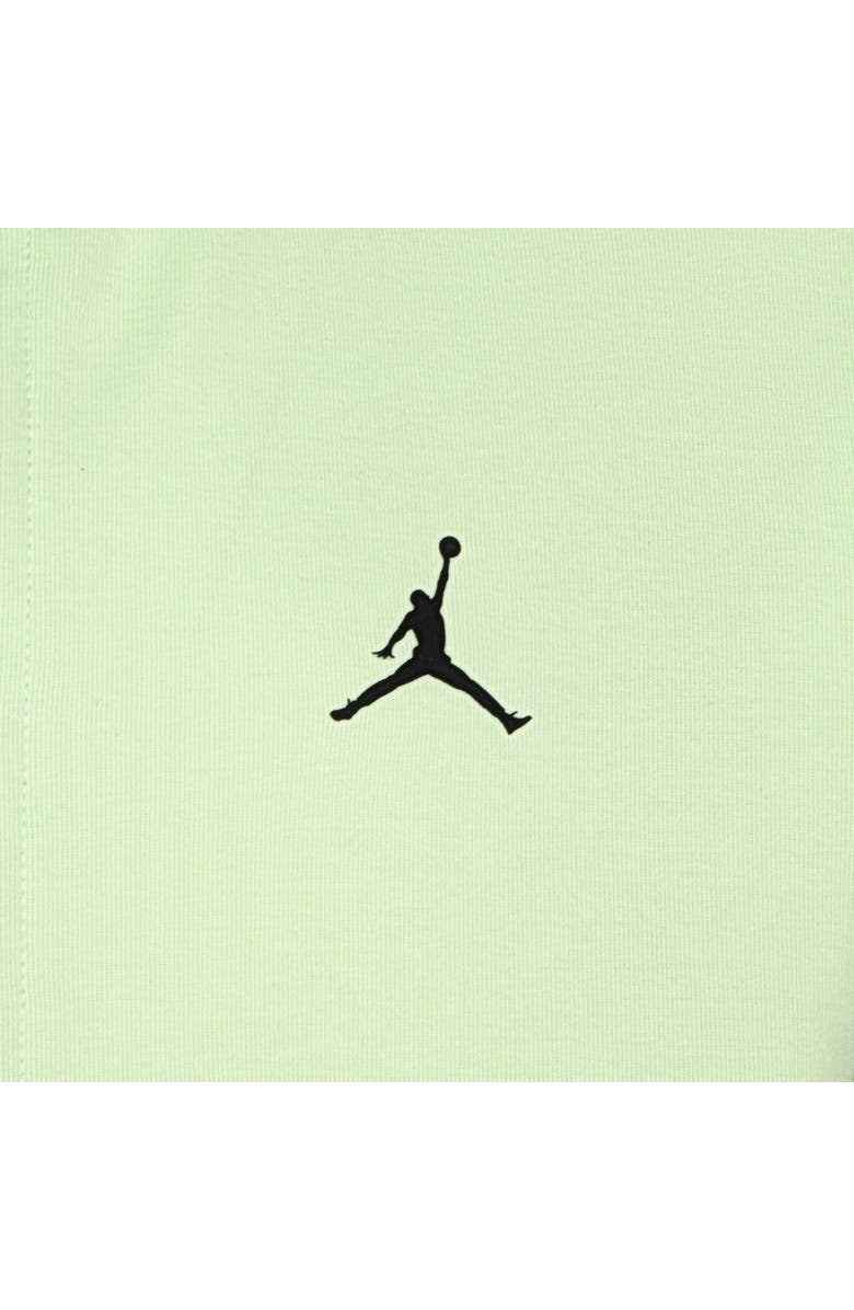 Jordan Kids' Sport Statement Fleece Hoodie, Alternate, color,