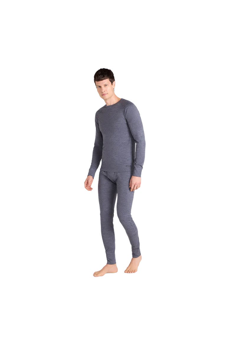 Merino Wool Base Layer Top, Alternate, color, Gray