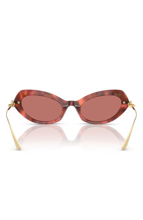 Dolce & Gabbana Dolce&gabbana 52mm Butterfly Sunglasses In Brown Havana