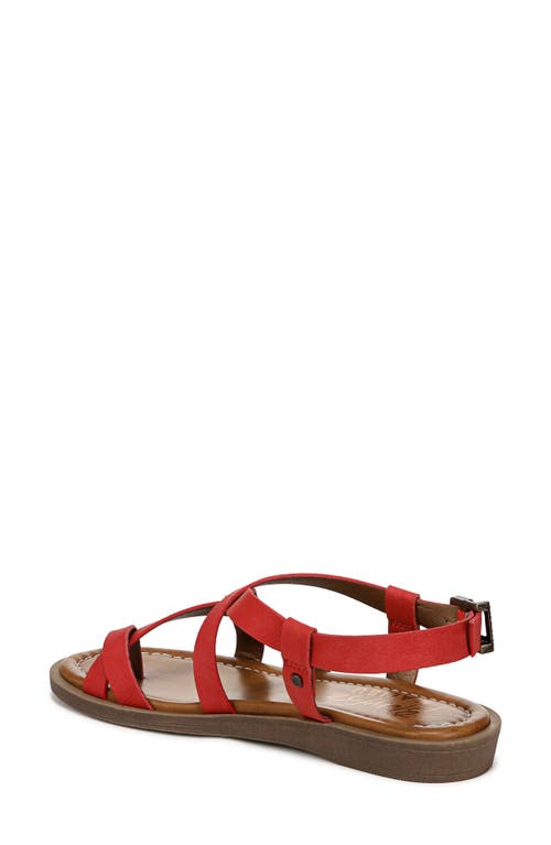 BLOWFISH MALIBU BLOWFISH MALIBU DEVON SANDAL