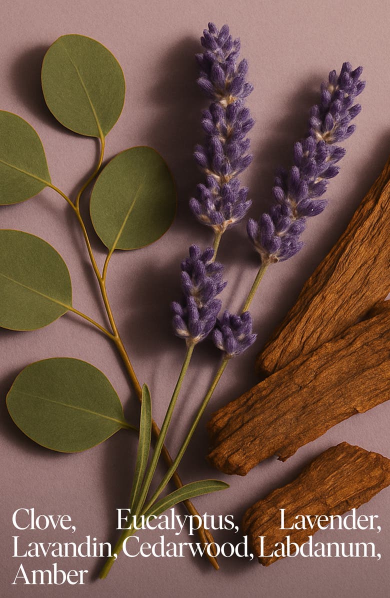 SIBLINGS No. 05 Lavender Refillable Candle, Alternate, color, Clove Lavender Cedar