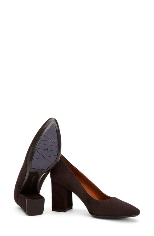 Aquatalia Peony Pointed Toe Pump In Espresso