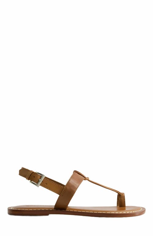 Bernardo Footwear Maverick 2 Toe Loop Sandal in Luggage 