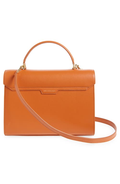 Anya Hindmarch Mortimer Canvas & Leather Top Handle Bag In Spice