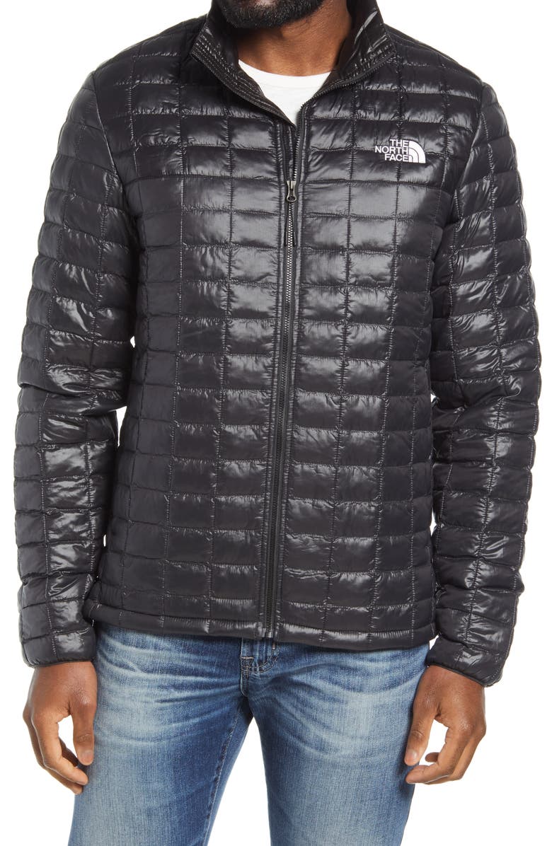 The North Face ThermoBall<sup>™</sup> Eco Packable Jacket, Alternate, color,
